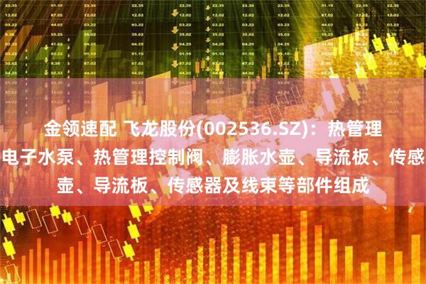 金领速配 飞龙股份(002536.SZ)：热管理集成模块产品主要由电子水泵、热管理控制阀、膨胀水壶、导流板、传感器及线束等部件组成